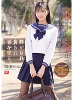 サンプル画像 1