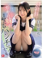 サンプル画像 1
