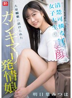 サンプル画像 1