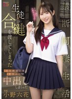 预览图 1